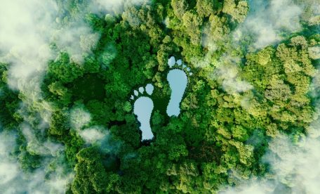 carbon neutral
